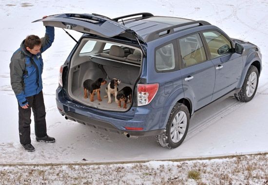 Forester'ın sunduğu eğlenceyi ve yarattığı arzu sizi o kadar şaşırtır ki, bunu ne kadar farklı bir şekilde başardığına şaşırmayabilirsiniz..