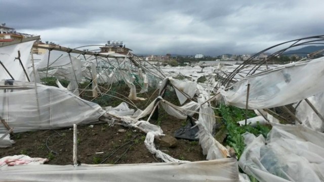 Alanya İlçe Tarım Müdürü Mehmet Rüzgar ve Antalya Büyükşehir Belediyesi Alanya Koordinatör Yardımcısı Nurettin Uludağ, dün gece yaşanan aşırı yağmur, fırtına ve hortumda zarar gören Konaklı Mahallesi'nde incelemelerde bulundular. 

Özellikle Konaklı bölgesinde hortumdan 100'e yakın seranın zarar gördüğü, ağaçların yıkıldığı ve çatıların uçtuğu bölgeye fiden Alanya İlçe Tarım Müdürü Mehmet Rüzgar ve Antalya Büyükşehir Belediyesi Alanya Koordinatör Yardımcısı Nurettin Uludağ, zarar gören vatandaşlara geçmiş olsun dileginde bulunup, hasar tesbiti yapıyorlar. Bu arada şiddetli fırtına bazı araçları bile devirdi.