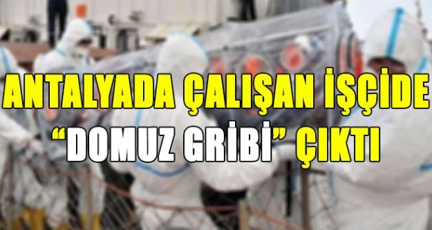 ANTALYA'DA ÇALIŞAN İŞÇİDE DOMUZ GRİBİ ÇIKTI