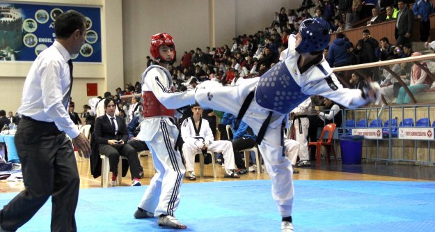 TAEKWONDO COŞKUSU DEVAM EDİYOR