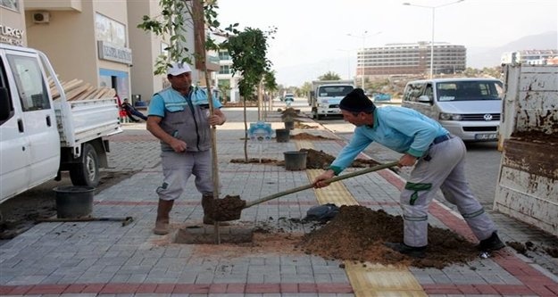 Kestel Mahallesi'ne 500 ağaç dikilecek