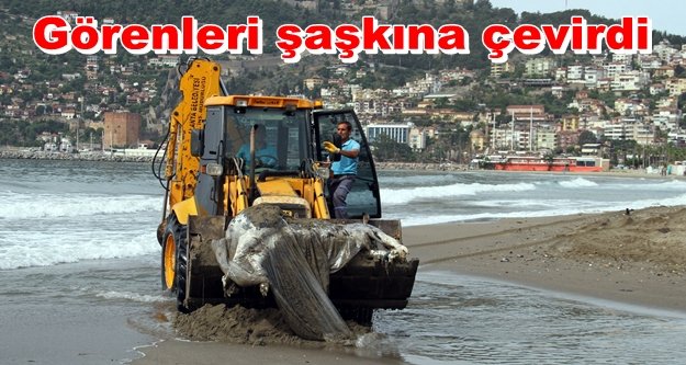 Alanya'da neler oluyor: 1 ayda altıncı kez...