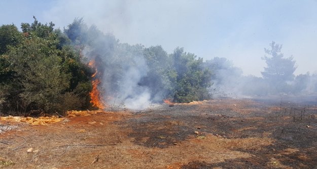 Çalılık alanda yangın: Müdahale devam ediyor