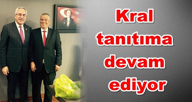 Avokado Kralı'ndan Ankara çıkarması