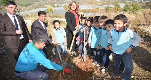 Emişbeleni zeytin fidanları ile buluştu