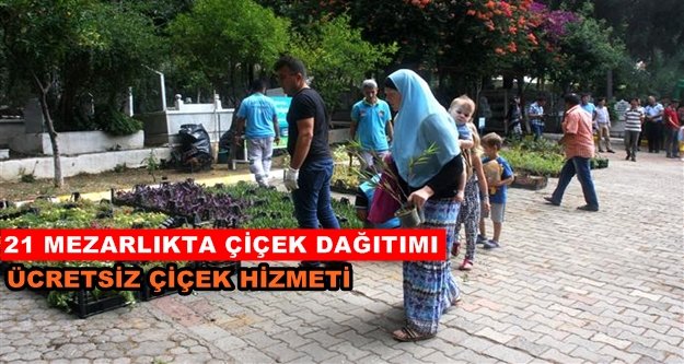 Alanya Belediyesi çiçek dağıtacak