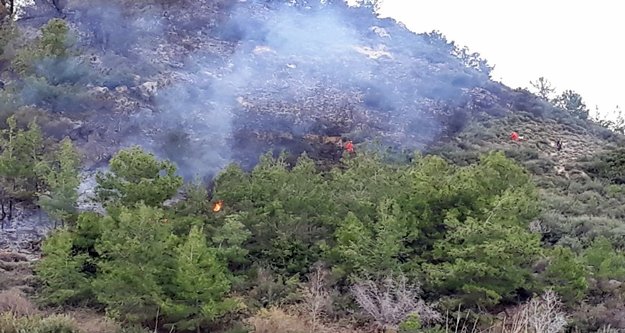 Yangında muz seraları son anda kurtarıldı