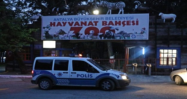 Polis hayvanat bahçesinden kaçan kurtu arıyor