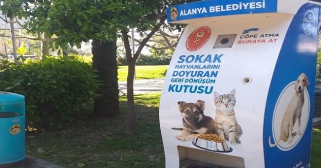 Alanya Belediyesi sokak hayvanlarını unutmadı