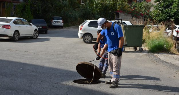 Alanya'da sinekle mücadeleye 180 kişilik ekip