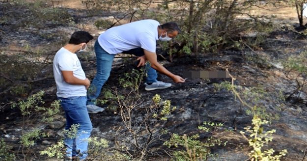 Ormanlık alanda yangın sonrası yanmış ceset bulundu