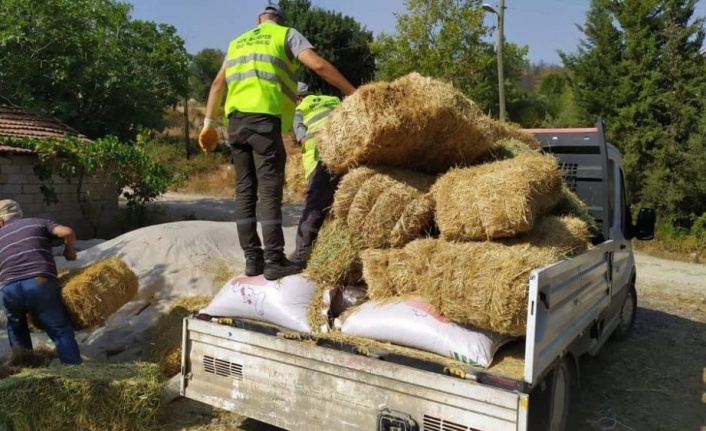 Afetzede besiciler için Kepez’den yem ve saman desteği