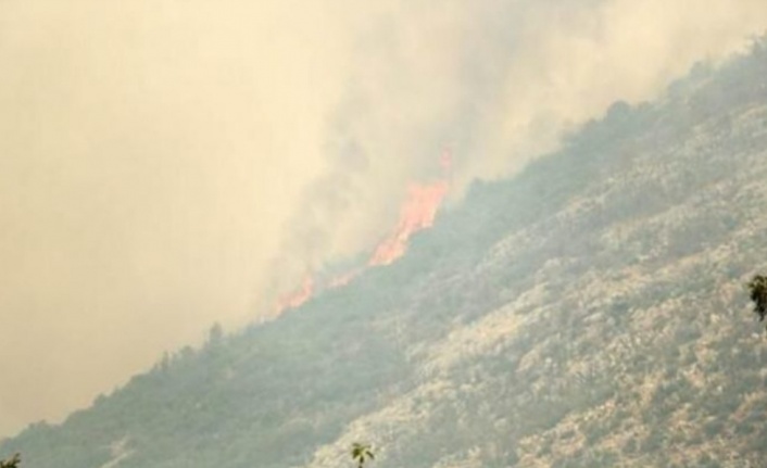 Alanya'da alevler yeniden yükseldi