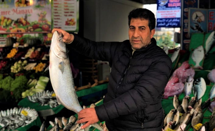 Tezgahlarda kofana bolluğu yaşanıyor