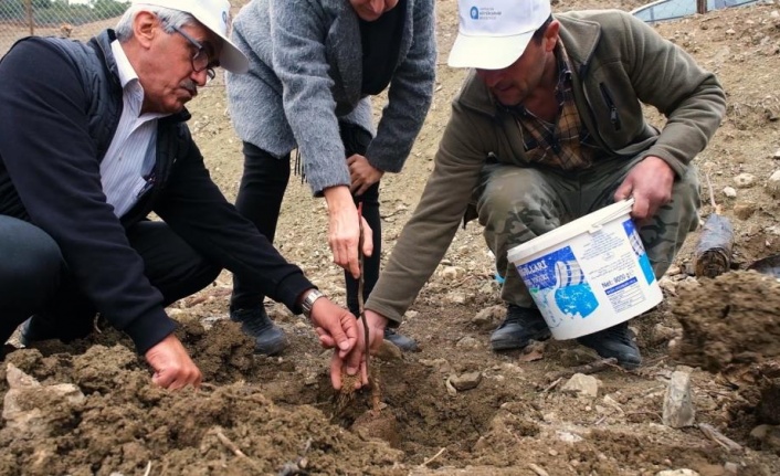 Gündoğmuş’a ceviz fidanı ve hamur makinesi yardımı