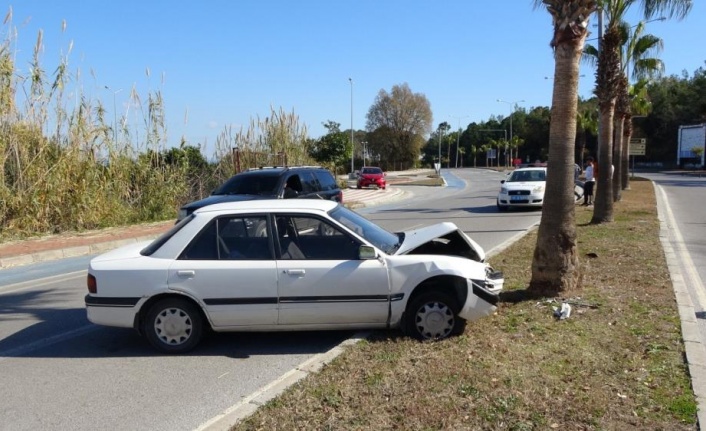 Alkolden ehliyeti iptal edilen sürücü otomobille palmiyeye çarptı