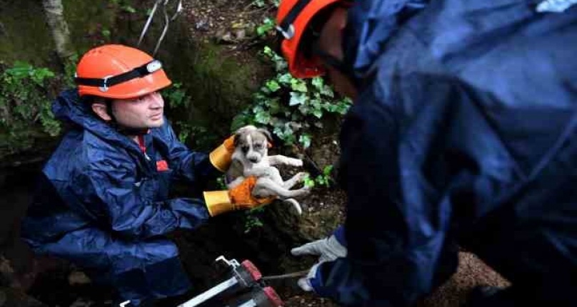 5 metrelik çukurda mahsur kalan yavru köpek kurtarıldı