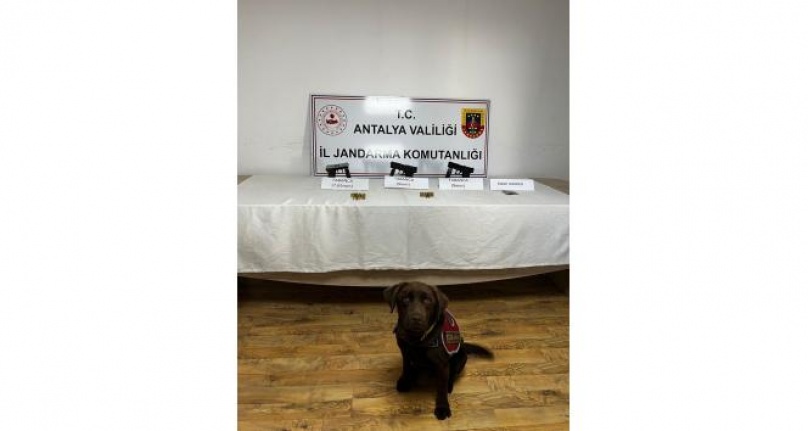 Jandarma narkotik köpeklerinden uyuşturucuya geçit yok