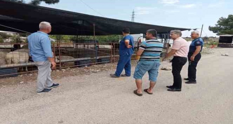 Kurban satış yerlerinde denetim