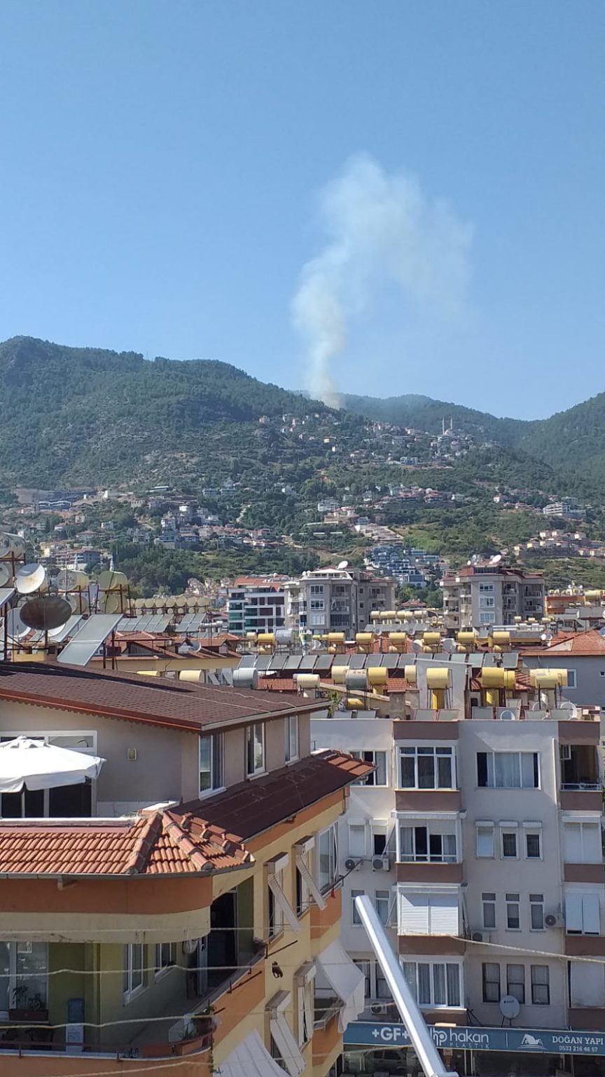 Alanya’da orman yangını! Ekipler sevk edildi