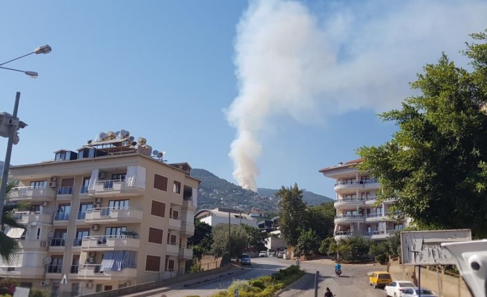 Alanya’da orman yangını kontrol altına alındı, 1.5 hektar alan zarar gördü