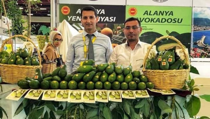 Alanya'da Avokado hırsızlığı zirvesi