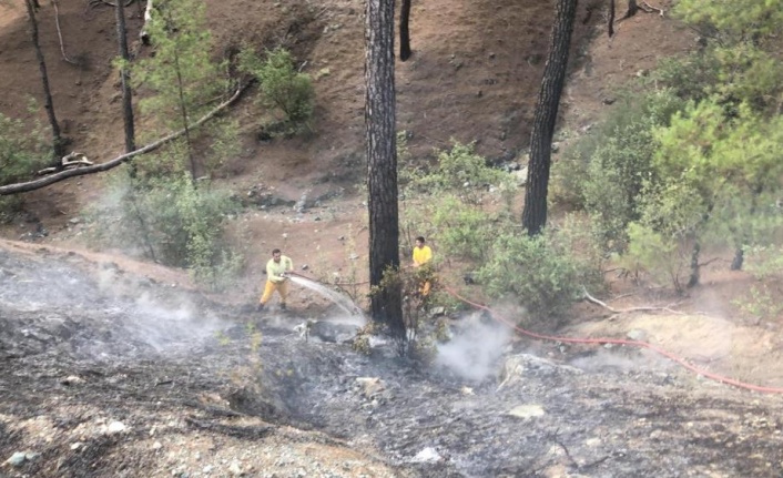 Antalya'da orman yangını büyümeden söndürüldü