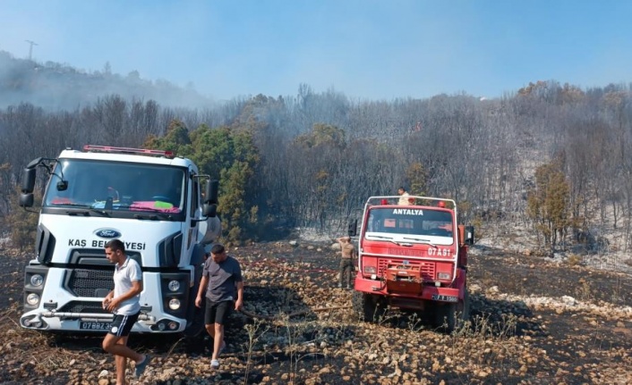 Antalya Kaş'ta orman yangını kontrol altına alındı