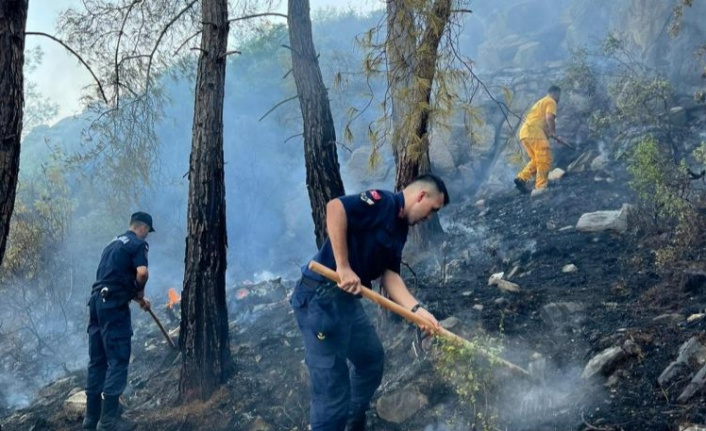 Gazipaşa’daki orman yangını havadan ve karadan yapılan müdahale ile söndürüldü