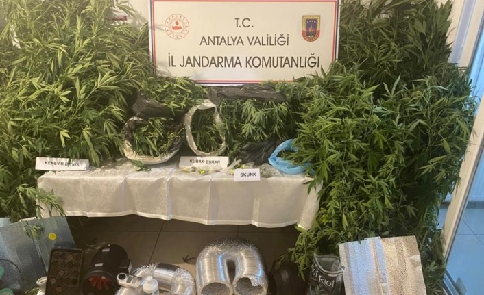 Jandarmadan uyuşturucu tacirlerine geçit yok