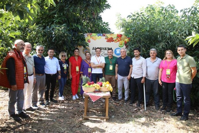 2.Alanya Tropikal Meyve Festivali hasat etkinliği ile başladı