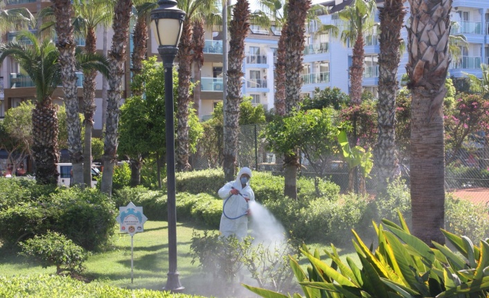 Alanya Belediyesi yeşil alanlarda özenle çalışıyor