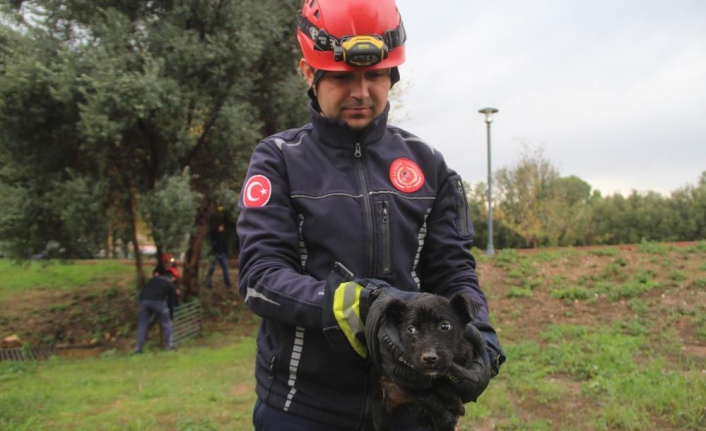 İtfaiye erinden su borusundaki köpeğe kahramanca kurtarış