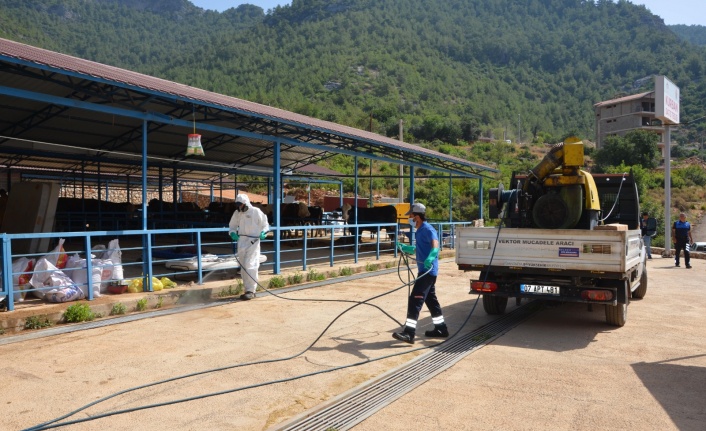 Alanya'da kurban satış yerleri ilaçlanıyor