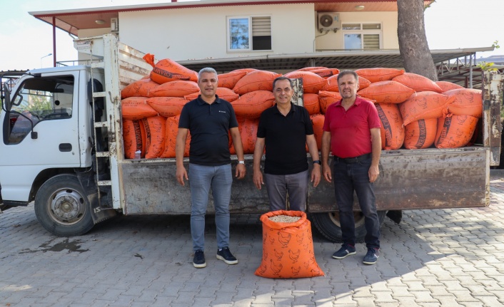 Gazipaşa Belediyesi Cimbiti Nohutu hayatını tamamladı