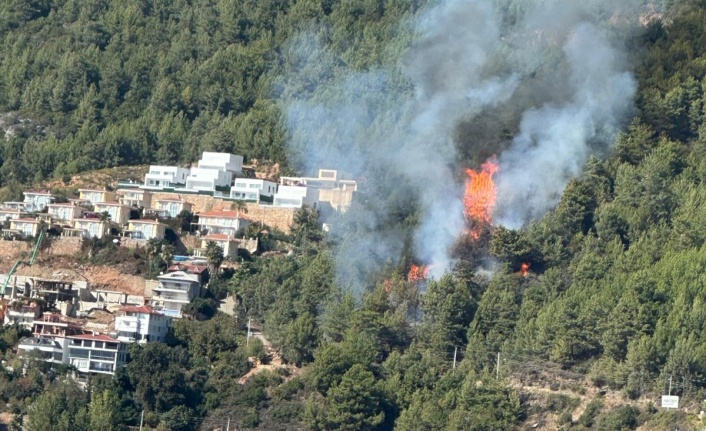 Alanya'da korkutan yangın