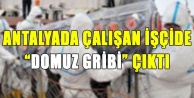 ANTALYA'DA ÇALIŞAN İŞÇİDE DOMUZ GRİBİ ÇIKTI