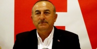 Çavuşoğlu Alman gazetelerine yüklendi