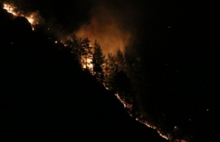 Alanya'daki orman yangınına yakın yerleşim...