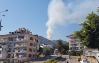 Alanya’da orman yangını kontrol altına alındı,...