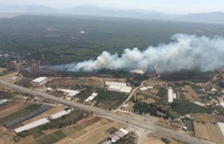 Antalya’daki orman yangını 2 saatte kontrol altına...