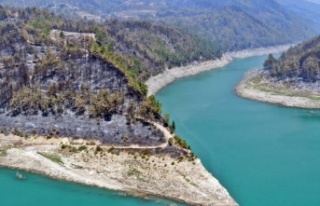 Manavgat orman yangınında zarar gören bölgelere...