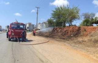 Manavgat'ta ot ve makilik yangını büyümeden...