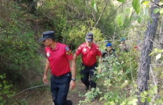 Alanya'da 15 gündür kayıp Alman kadını arama...