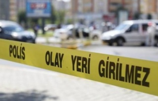 Alanya’da kan donduran görüntü! Yaşadığı...