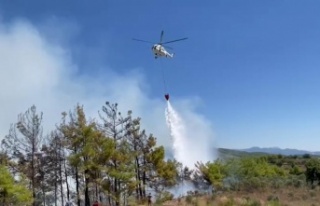 Alanya’daki orman yangını karadan ve havadan müdahaleyle...