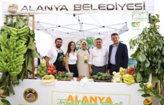 Avokado ve Mango temalı Tropikal Meyve Festivali...