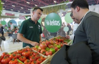 HEKTAŞ’ın yerli sebze tohumları Growtech Fuarı’nda...